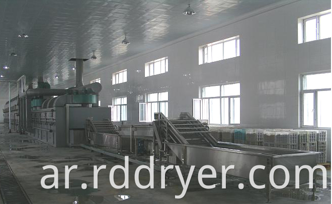 Mushroom Dryer Machine/drying machine